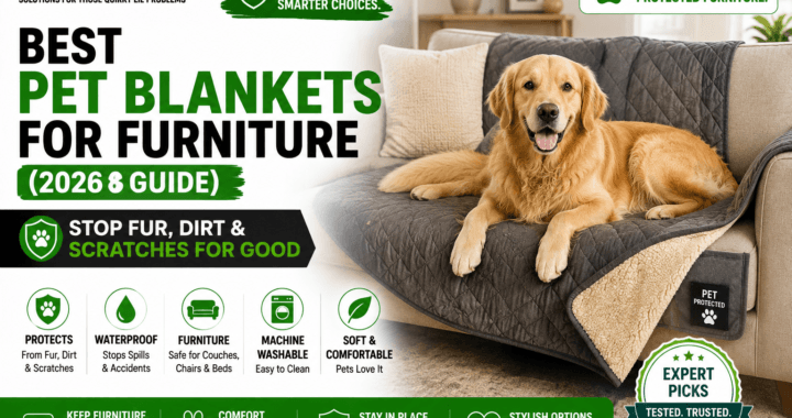 Best pet blankets for furniture 2026 featuring a dog on a protective couch blanket designed to stop pet hair, dirt, scratches, spills, and stains while keeping furniture clean and pets comfortable.