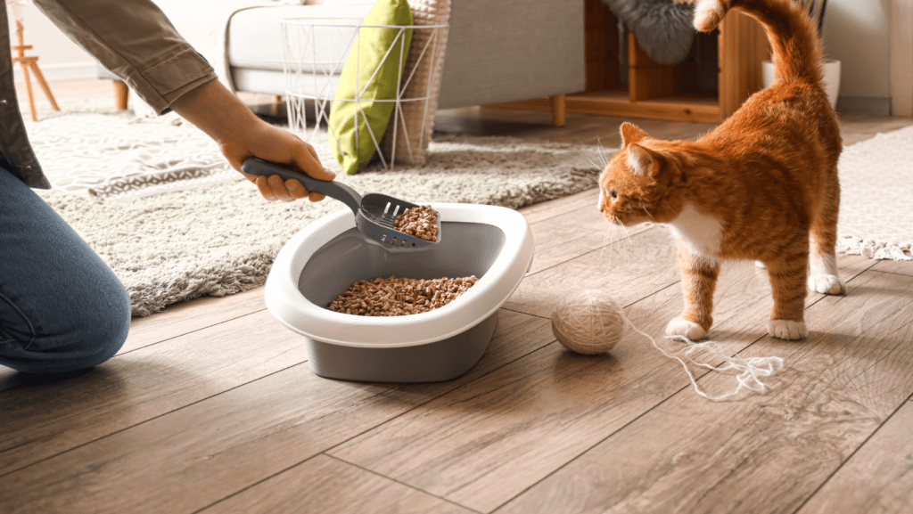 cat litter pan scooper