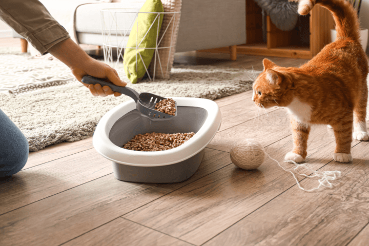 cat litter pan scooper