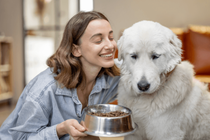 happy owner and dog image