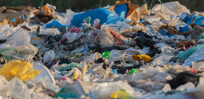millions of plastic bags ending up in landfills and oceans each year
